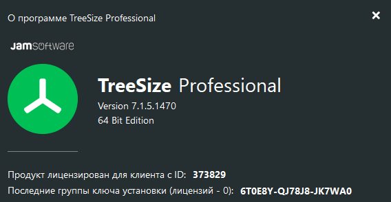 TreeSize Pro лицензия